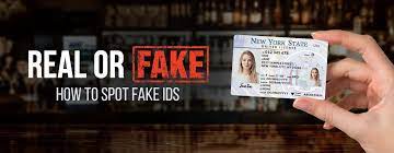 Obtain a Top quality Fake ID with the Best Value post thumbnail image